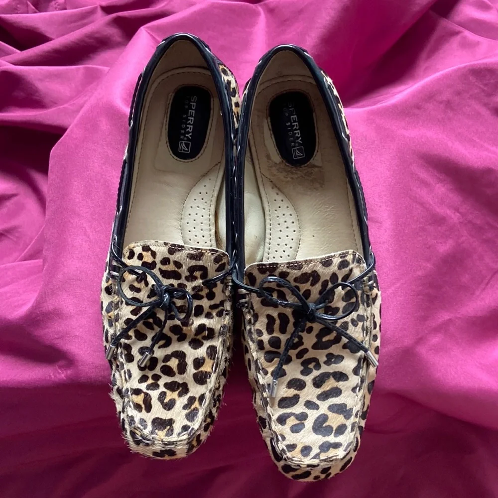 Sperry Top Siders - Picture 1 of 9